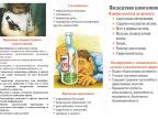 Буклет для родителей о детском алкоголизме (сторона 2)
